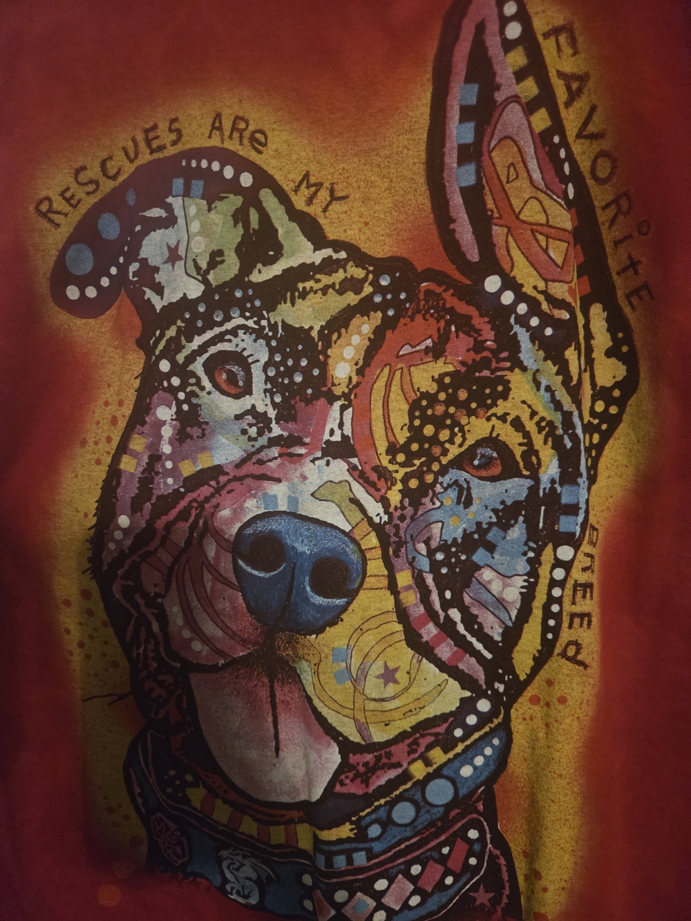The Mountain Multicolor Rescue Dog Graphic Tee - Orange/Yellow/Blue